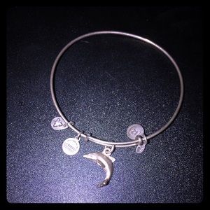 Dolphin silver Alex & Ani bracelet